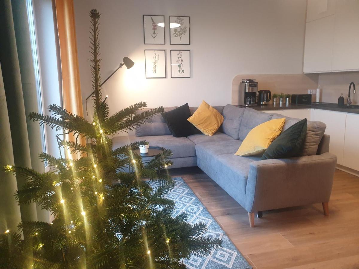 Świeradów-Zdrój Apartament Pod Stogiem Izerskim - 5D Apartamenty מראה חיצוני תמונה